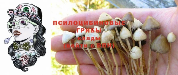 Альфа ПВП Белокуриха