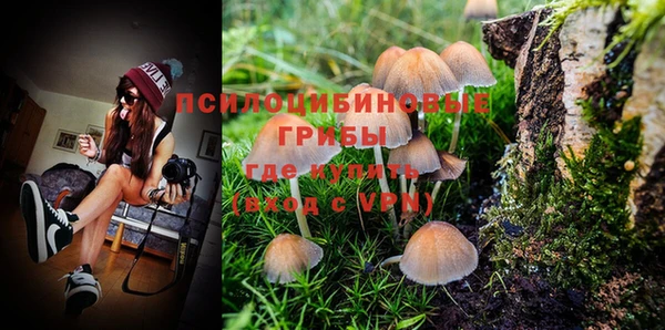 прущая мука Белоозёрский
