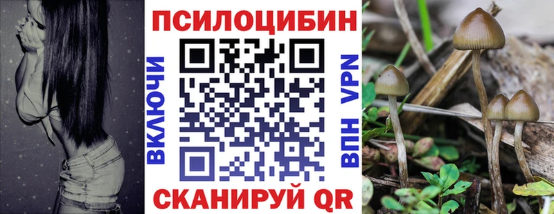Галлюциногенные грибы прущие грибы  Мглин 